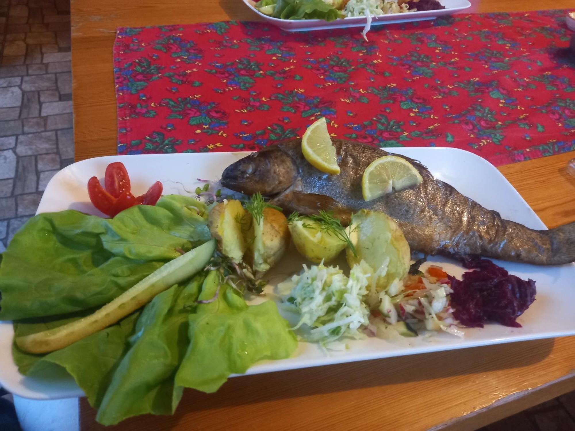 فيلا Gazdowka Na Mosornym Groniu زافوية المظهر الخارجي الصورة